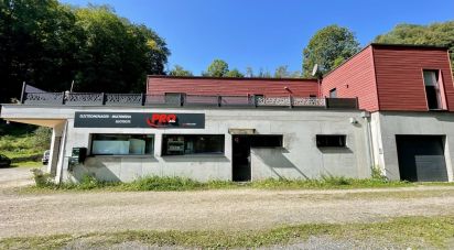 Retail property of 254 m² in Fréland (68240)