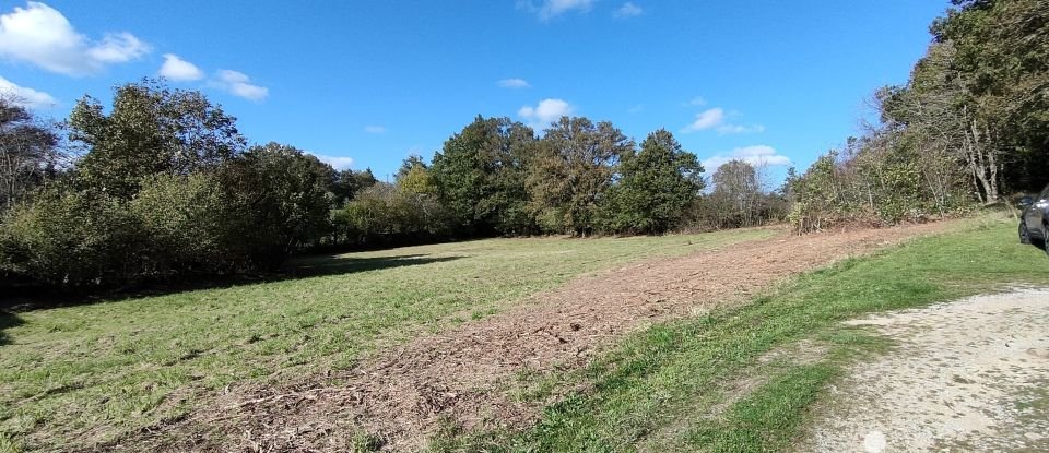 Land of 4,645 m² in Saint-Avit-de-Tardes (23200)