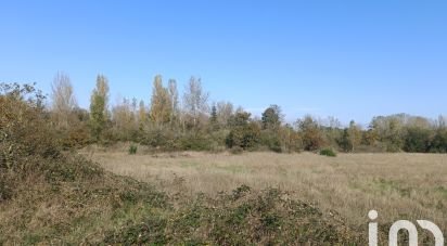 Terrain Loisirs de 3 950 m² à Pruniers-en-Sologne (41200)