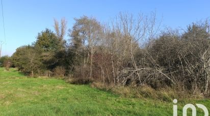 Terrain Loisirs de 51 827 m² à Pruniers-en-Sologne (41200)