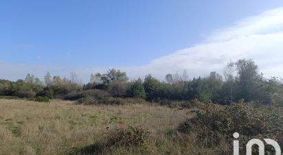 Terrain Loisirs de 51 827 m² à Pruniers-en-Sologne (41200)