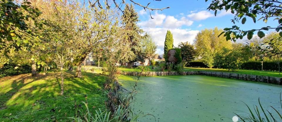 House 7 rooms of 143 m² in Saint-Père-sur-Loire (45600)