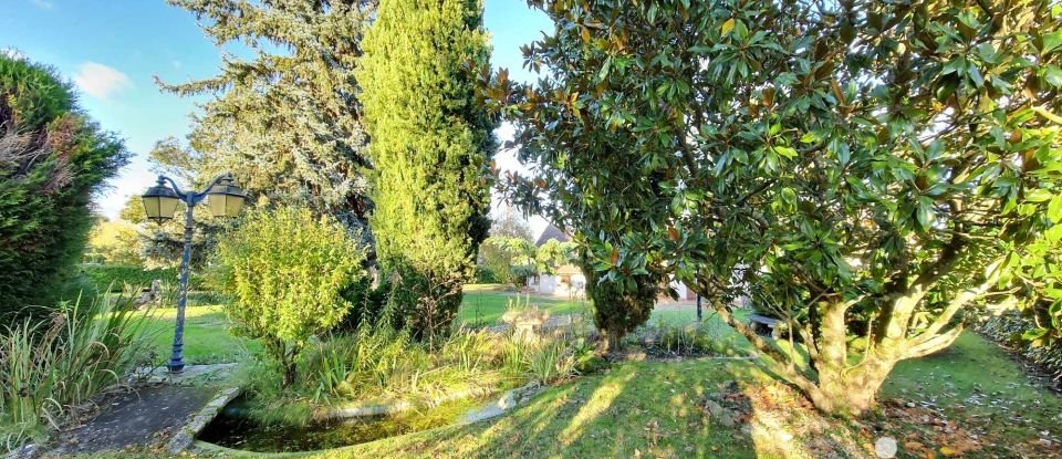 House 7 rooms of 143 m² in Saint-Père-sur-Loire (45600)