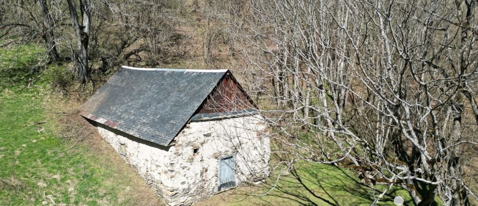 Barn conversion 2 rooms of 130 m² in Vignec (65170)