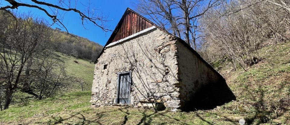 Barn conversion 2 rooms of 130 m² in Vignec (65170)