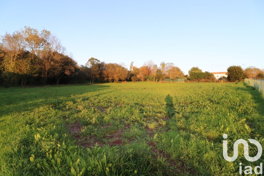 Land of 4,799 m² in Saint-Cyr-en-Talmondais (85540)