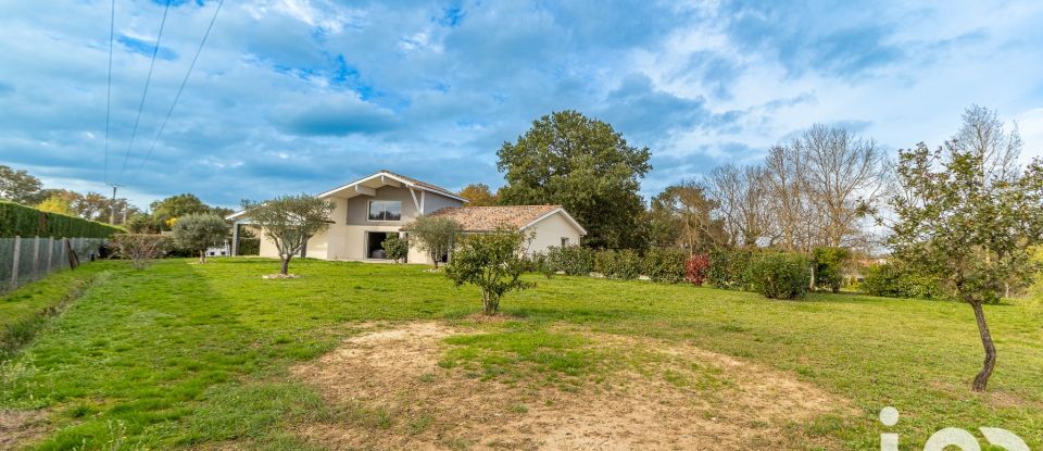 Maison d’architecte 5 pièces de 190 m² à Labastide-Saint-Pierre (82370)