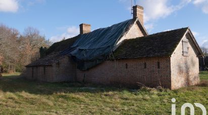 Longère 5 pièces de 120 m² à Neung-sur-Beuvron (41210)