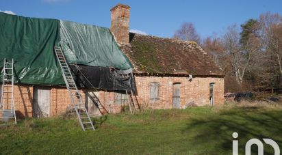 Longère 5 pièces de 120 m² à Neung-sur-Beuvron (41210)