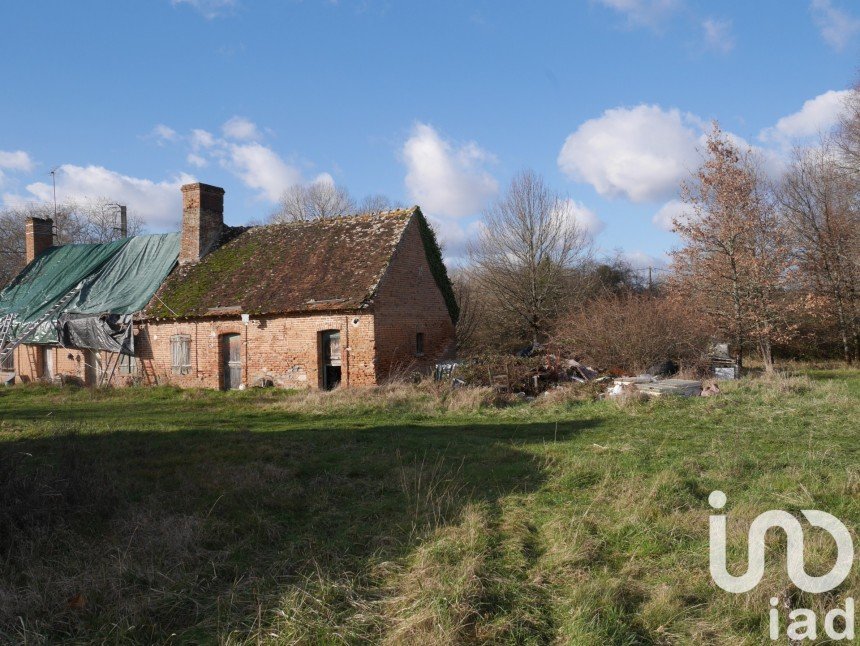 Longère 5 pièces de 120 m² à Neung-sur-Beuvron (41210)