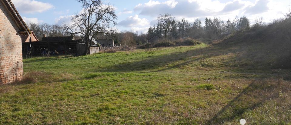 Longère 5 pièces de 120 m² à Neung-sur-Beuvron (41210)