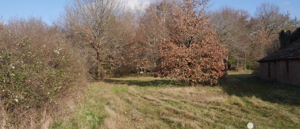 Longère 5 pièces de 120 m² à Neung-sur-Beuvron (41210)