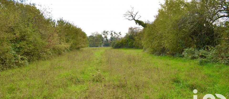 Terrain de 2 398 m² à Le Blanc (36300)