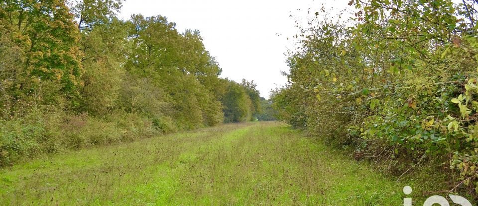 Terrain de 2 398 m² à Le Blanc (36300)