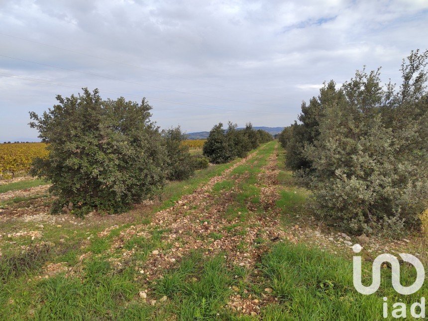 Terrain agricole de 5 708 m² à Sainte-Cécile-les-Vignes (84290)