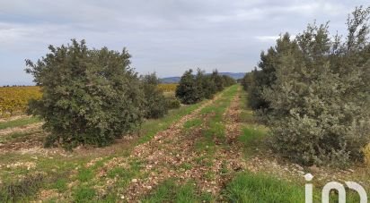 Terrain agricole de 5 708 m² à Sainte-Cécile-les-Vignes (84290)