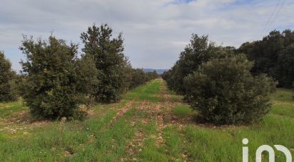 Terrain agricole de 5 708 m² à Sainte-Cécile-les-Vignes (84290)