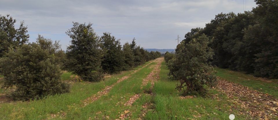 Terrain agricole de 5 708 m² à Sainte-Cécile-les-Vignes (84290)