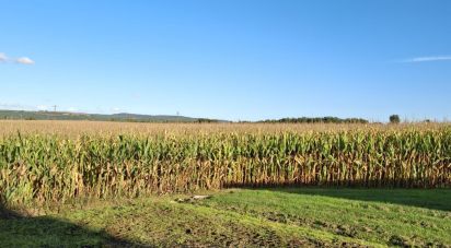 Farm land of 28,000 m² in Vaïssac (82800)