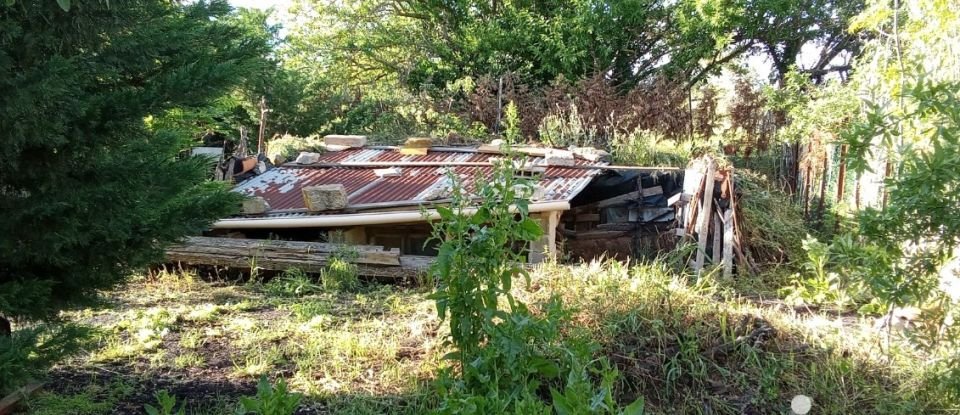 Terrain agricole de 6 440 m² à Nézignan-l'Évêque (34120)