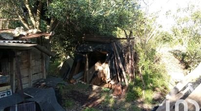 Terrain agricole de 6 440 m² à Nézignan-l'Évêque (34120)