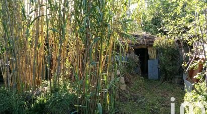 Terrain agricole de 6 440 m² à Nézignan-l'Évêque (34120)