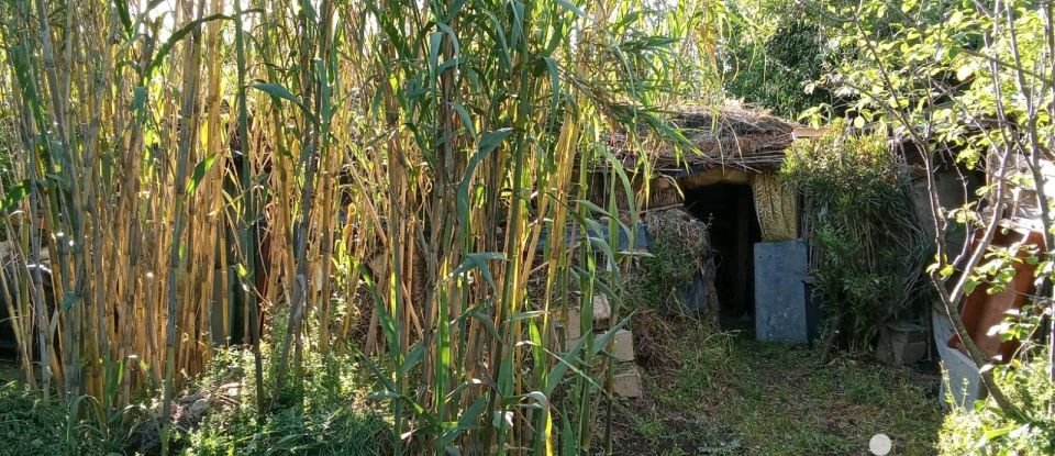 Terrain agricole de 6 440 m² à Nézignan-l'Évêque (34120)