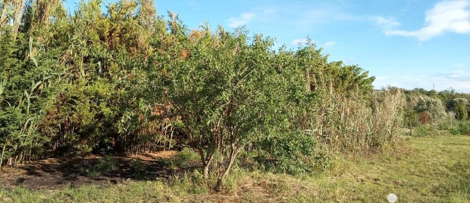 Terrain agricole de 6 440 m² à Nézignan-l'Évêque (34120)