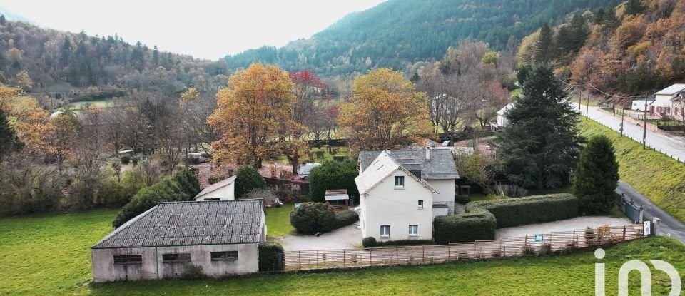 Maison traditionnelle 11 pièces de 251 m² à Florac Trois Rivières (48400)