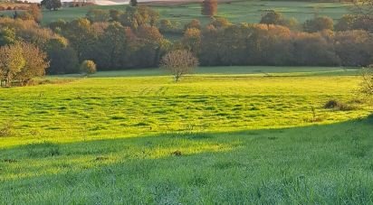 Terrain de 1 466 m² à Oueilloux (65190)