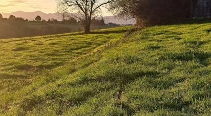 Terrain de 1 466 m² à Oueilloux (65190)