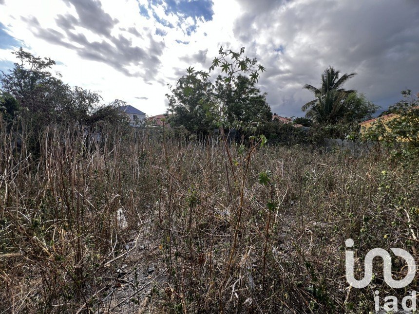 Terrain de 296 m² à Saint-Louis (97450)