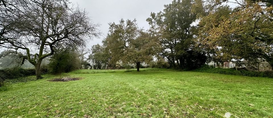 Longère 5 pièces de 125 m² à Saint-Hilaire-en-Lignières (18160)