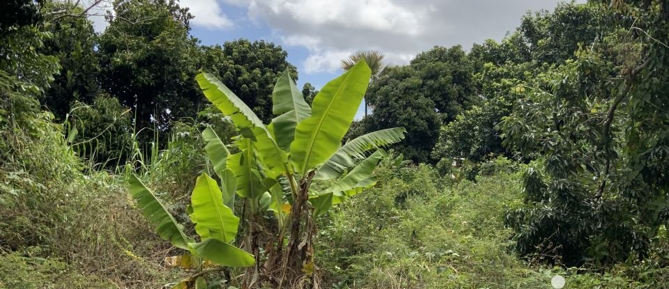 Terrain de 352 m² à Saint-Louis (97450)