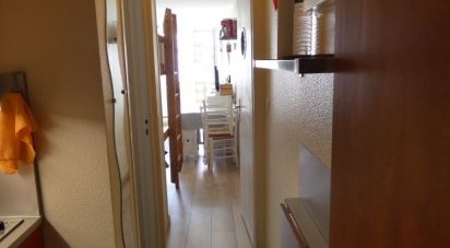 Appartement 1 pièce de 26 m² à Bagnères-de-Bigorre (65200)