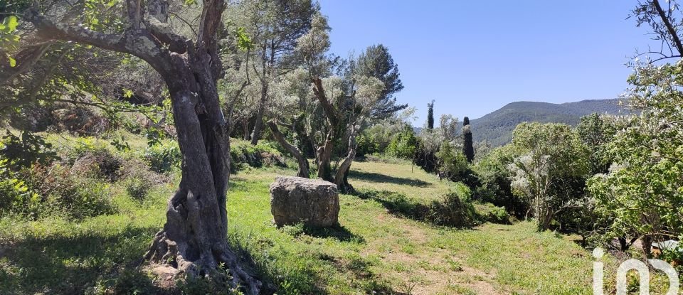 Maison de campagne 8 pièces de 250 m² à Solliès-Toucas (83210)