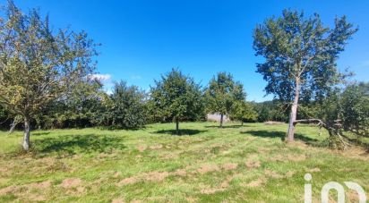 Maison traditionnelle 5 pièces de 124 m² à Mesnil-en-Ouche (27410)