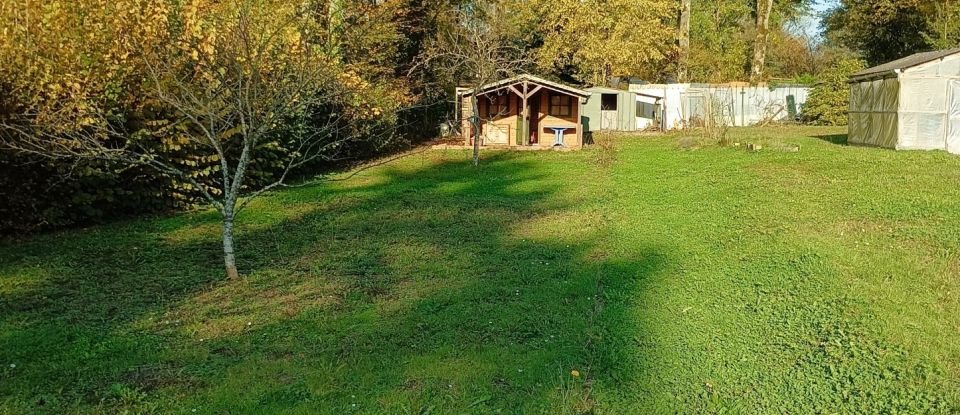 Leisure facility of 1,159 m² in Mirecourt (88500)