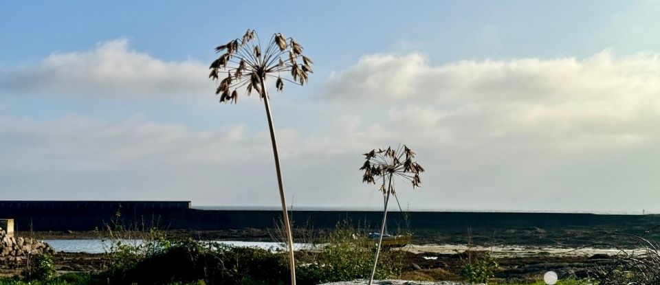 Maison traditionnelle 6 pièces de 118 m² à Plobannalec-Lesconil (29740)