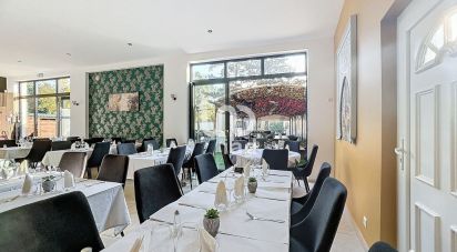 Restaurant de 117 m² à L'Isle-sur-la-Sorgue (84800)