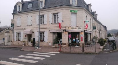 Bar of 256 m² in Chinon (37500)