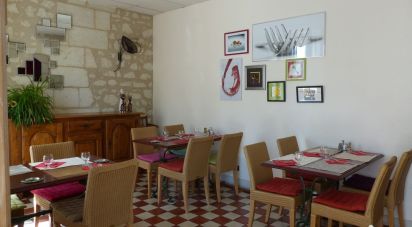 Bar of 256 m² in Chinon (37500)