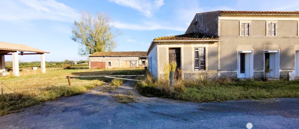 Maison 4 pièces de 135 m² à Saint-Ciers-sur-Gironde (33820)