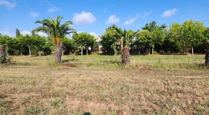 Terrain de 1 226 m² à Fréjus (83600)