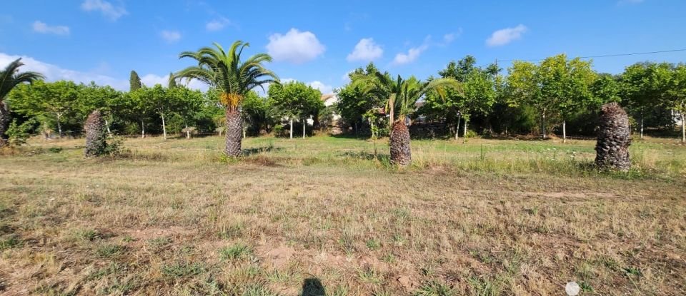 Land of 1,226 m² in Fréjus (83600)