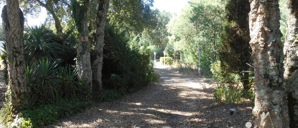 Maison d’architecte 4 pièces de 136 m² à Fourques-sur-Garonne (47200)