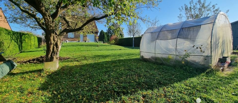 Maison traditionnelle 5 pièces de 106 m² à Thérouanne (62129)