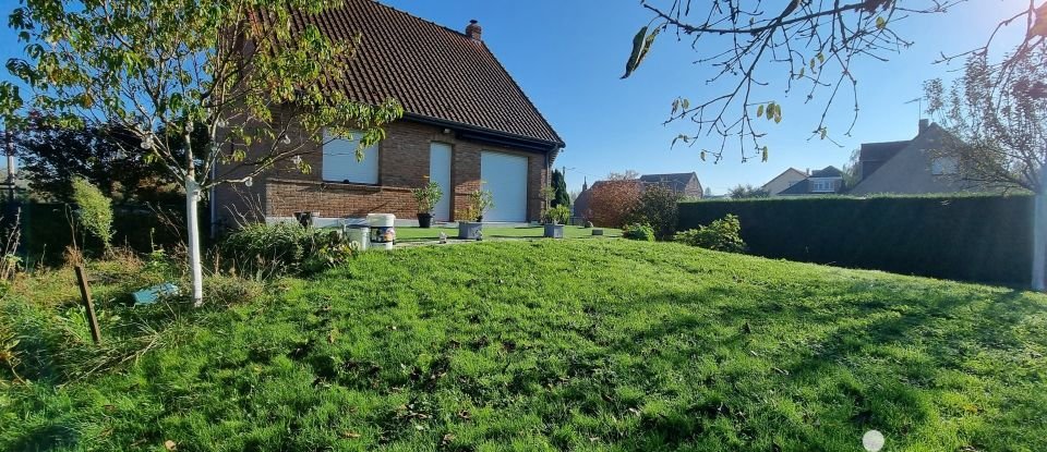 Maison traditionnelle 5 pièces de 106 m² à Thérouanne (62129)