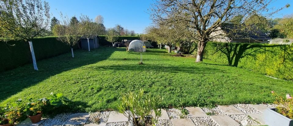 Maison traditionnelle 5 pièces de 106 m² à Thérouanne (62129)