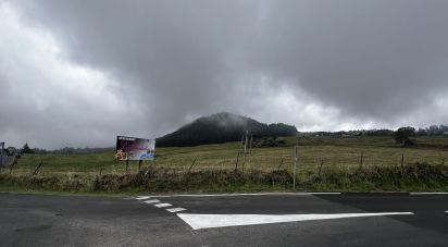 Terrain de 574 m² à LA PLAINE-DES-CAFRES (97418)